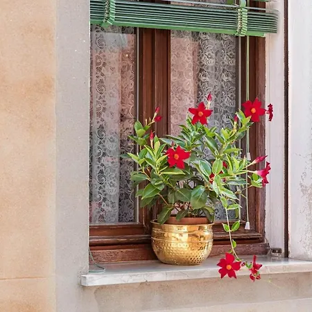 Apartman Flat Calle Furlane, - Castello